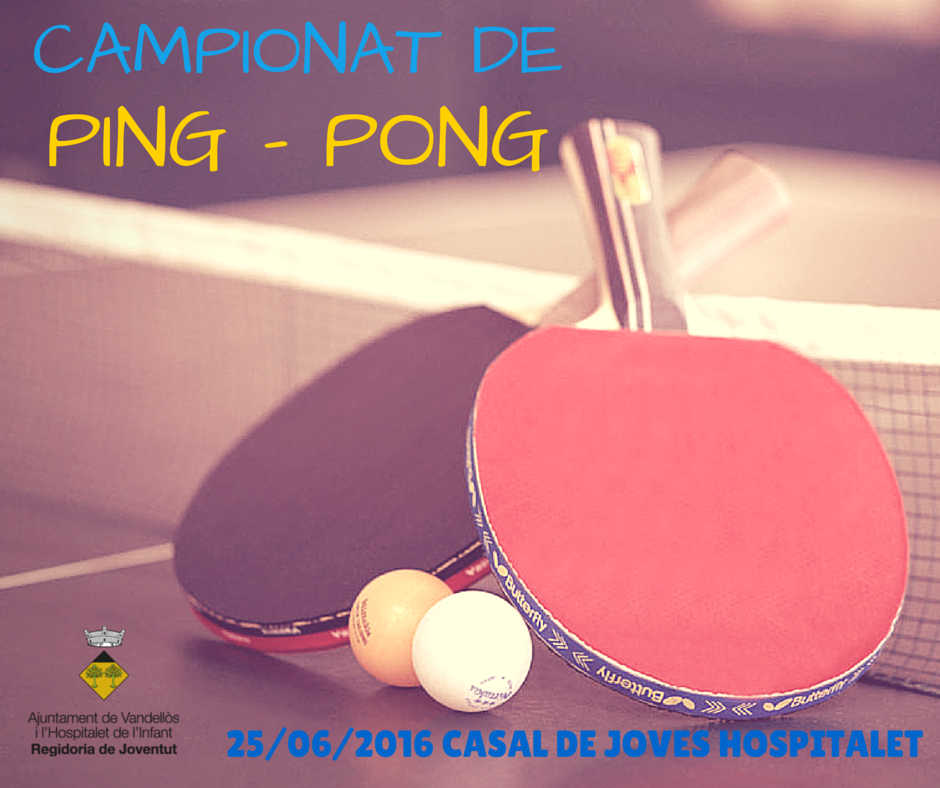 CAMPIONAT DE PING - PONG (3)