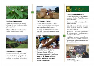 B triptic associacio