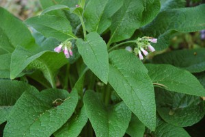 ????????????????????????????????????