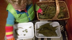 taller etnobotànic infants (1)