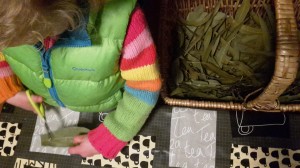 taller etnobotànic infants (5)