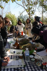 taller la farmaciola 1