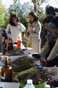 taller la farmaciola 1A