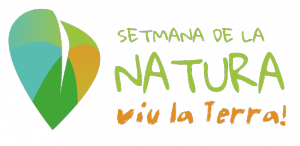 Logo_DEF2_transparent