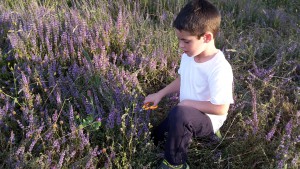 recol.leccio poniol gerard