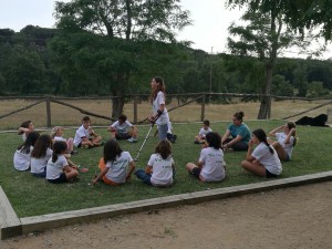 rotllana monitora ester