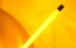 cropped-palmnaranja.jpg