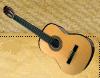 curs guitarra