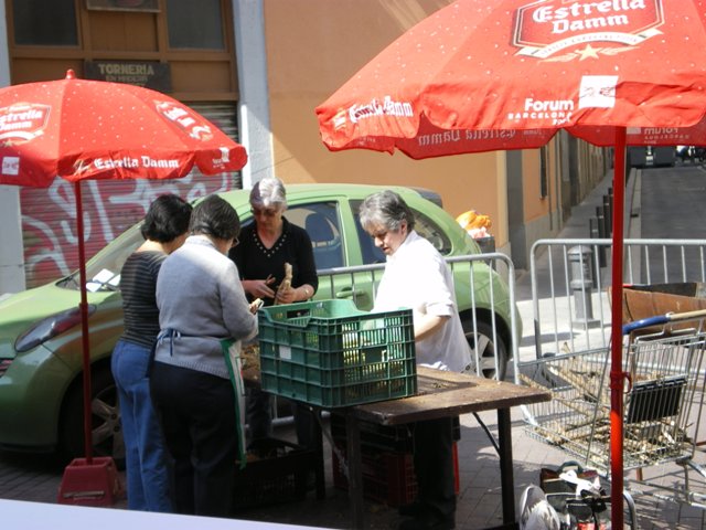 Foto de la Galeria
