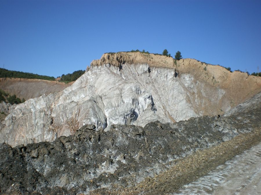 Foto de la Galeria