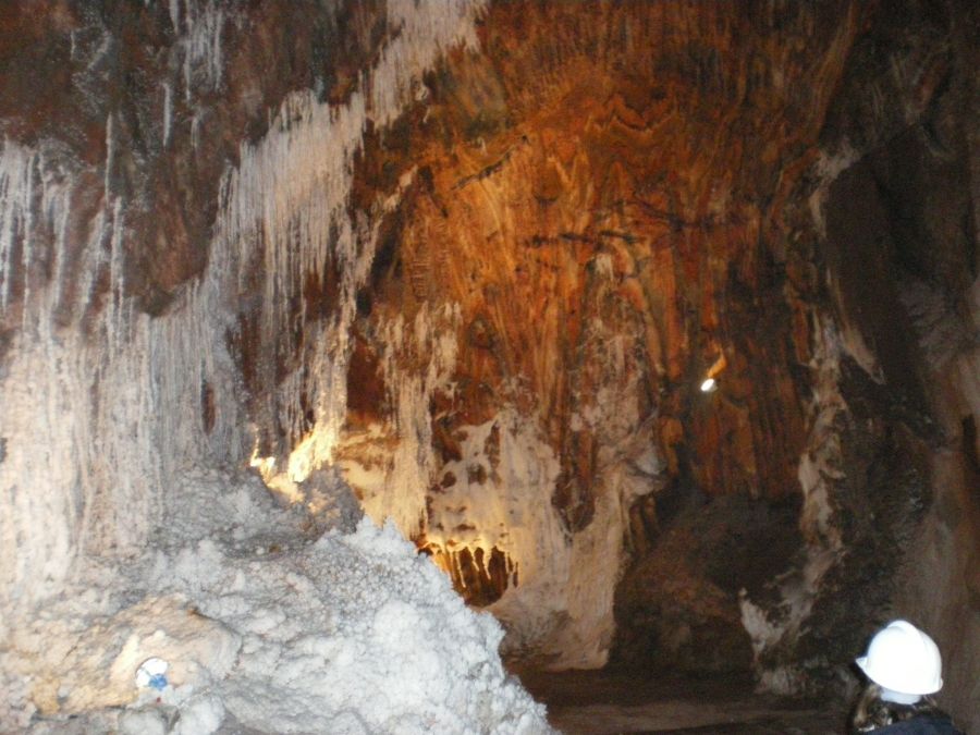 Foto de la Galeria