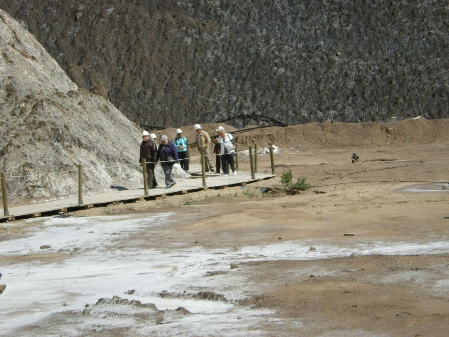 Foto de la Galeria