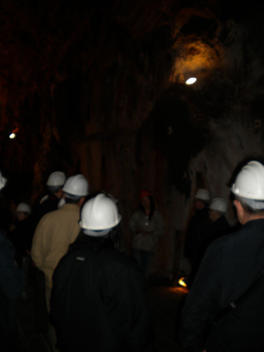 Foto de la Galeria