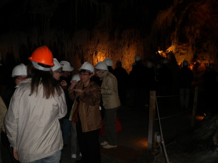 Foto de la Galeria