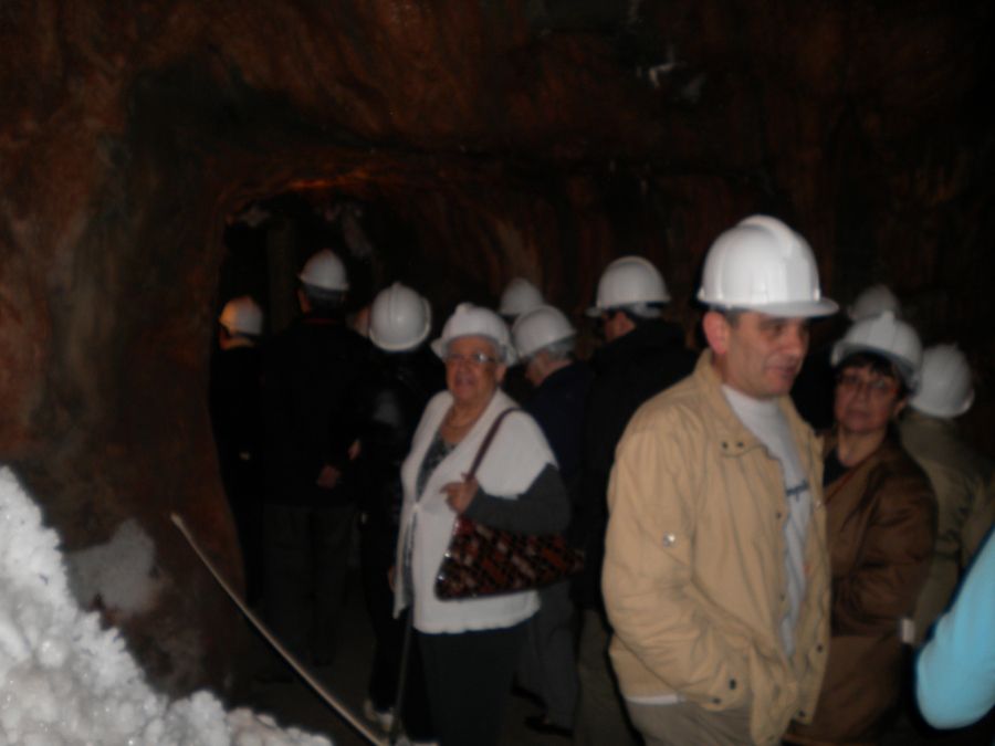 Foto de la Galeria