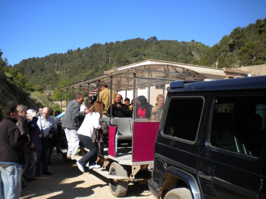 Foto de la Galeria