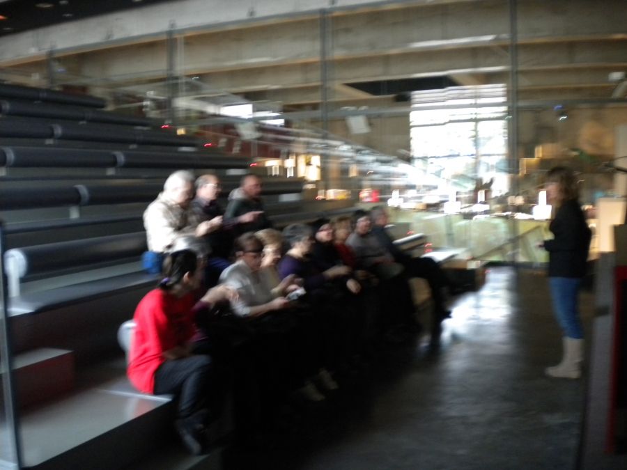Foto de la Galeria
