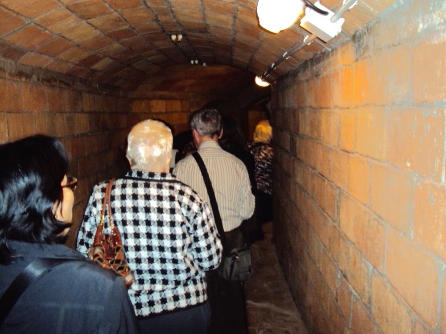 Foto de la Galeria
