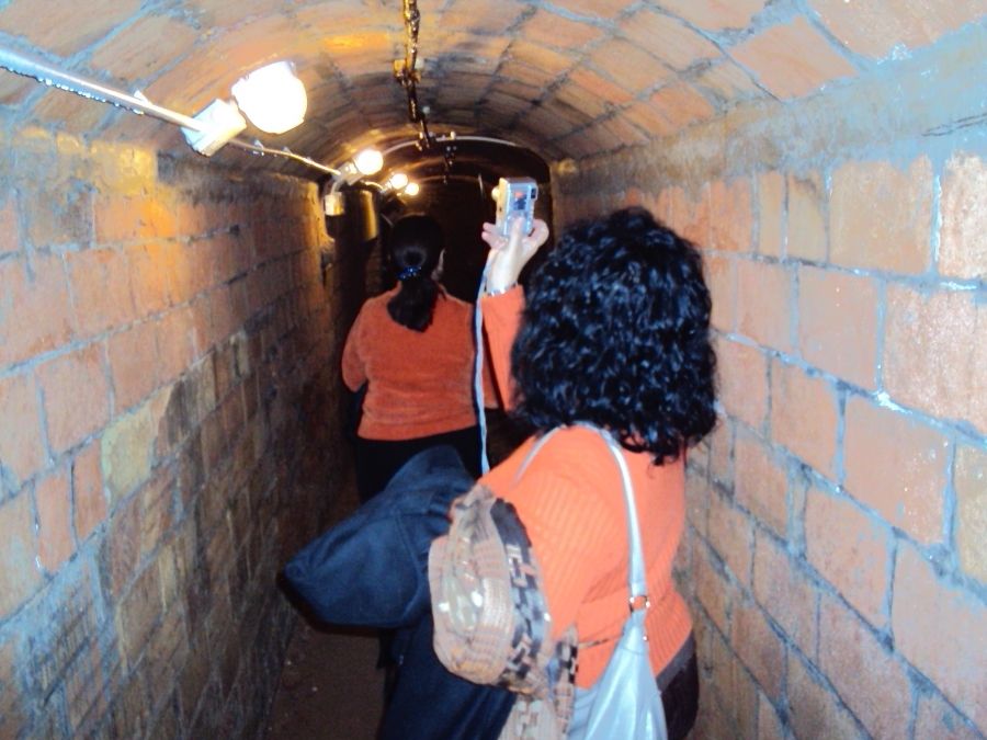 Foto de la Galeria