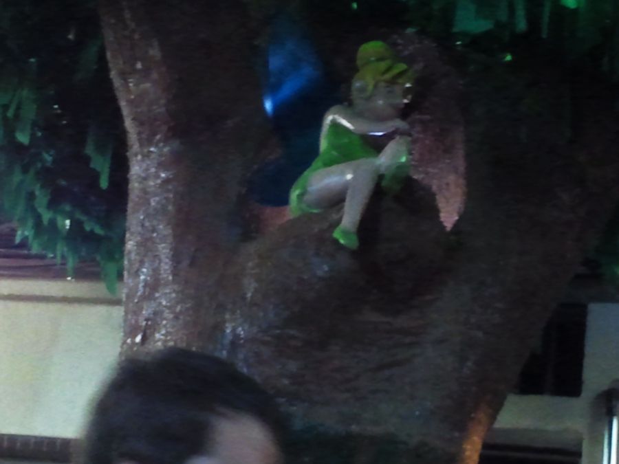 Foto de la Galeria