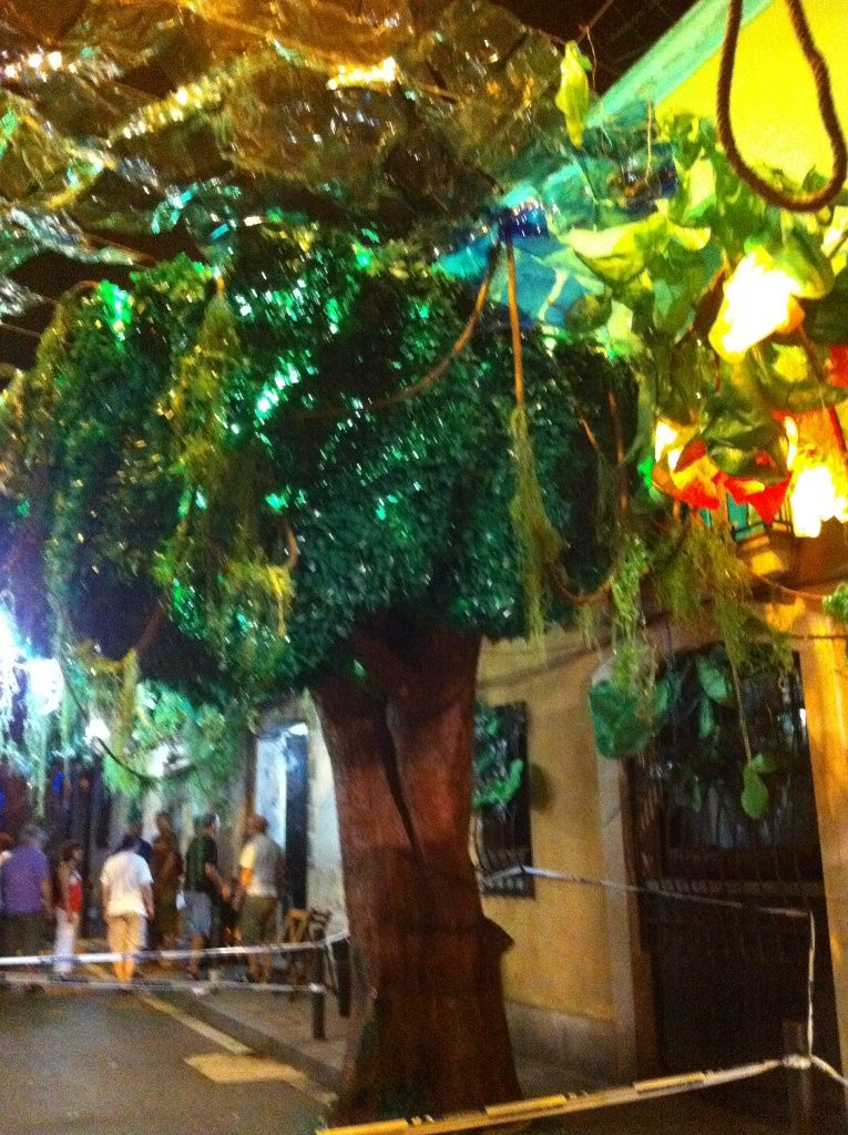 Foto de la Galeria