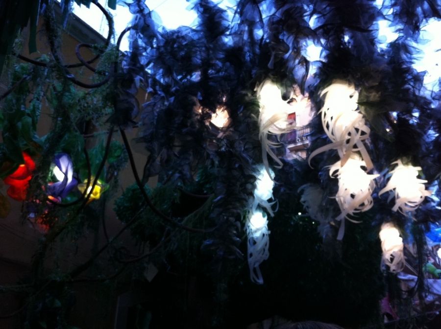 Foto de la Galeria